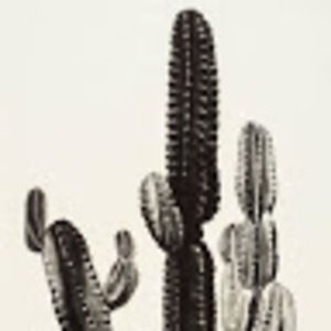 Meet your Posher, Max m.